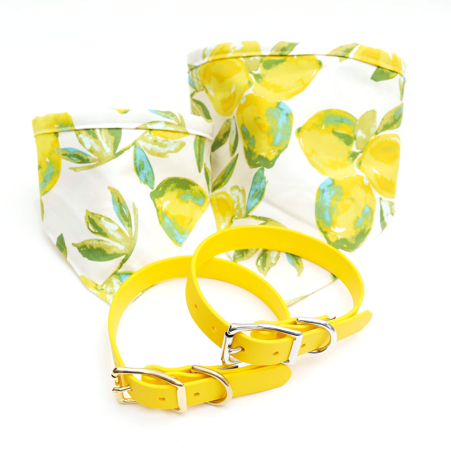 lemon dog bandana yellow dog collar