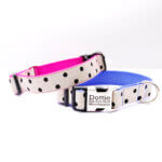 Dottie Polka Dot Canvas Dog Collar
