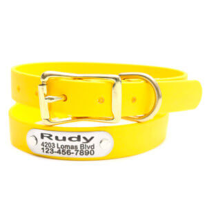 waterproof biothane belt nameplate dog collar limon yellow