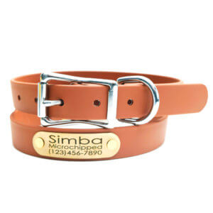 waterproof biothane belt nameplate dog collar mesa brown