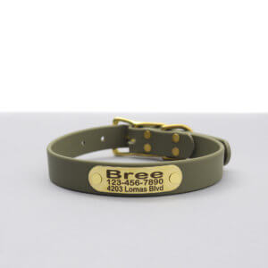 waterproof biothane belt nameplate dog collar olive
