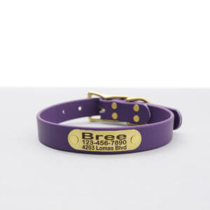 waterproof biothane belt nameplate dog collar purple