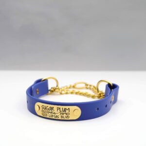 waterproof-biothane-martingale-cobalt-blue