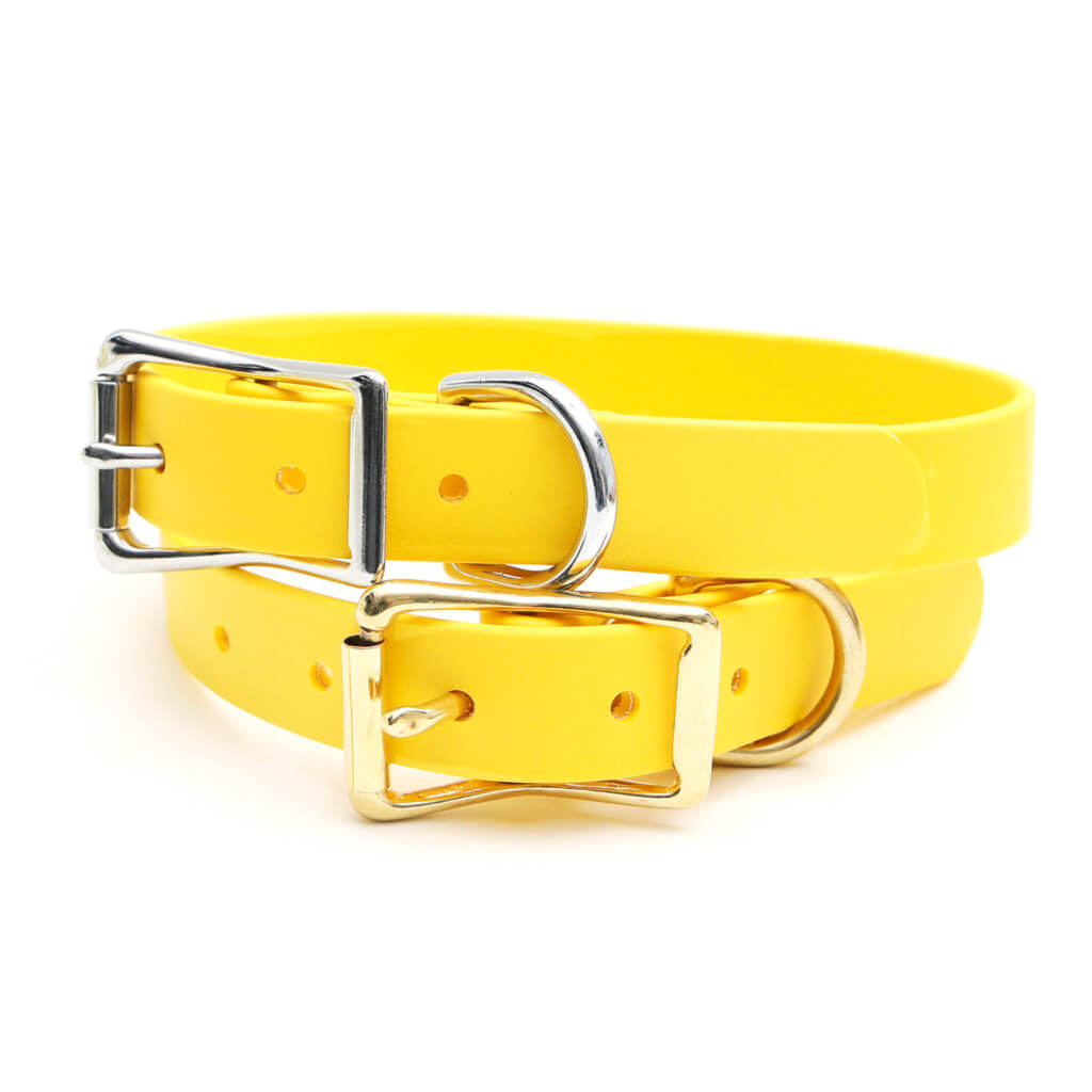 yellow biothane dog collar
