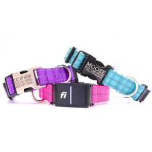 Fi Reflective Nylon Collar