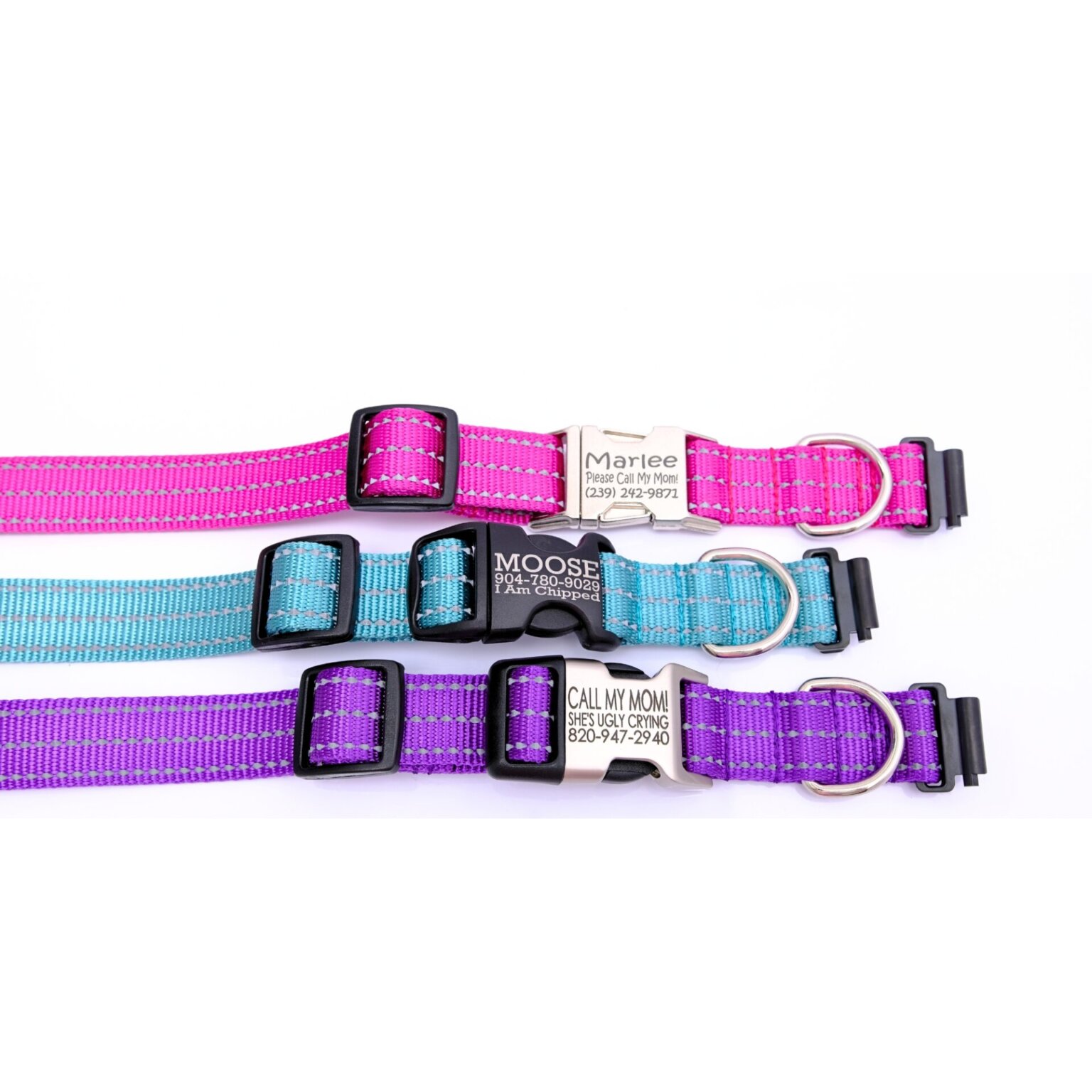Reflective Fi Compatible Dog Collar with Optional Personalized Buckle