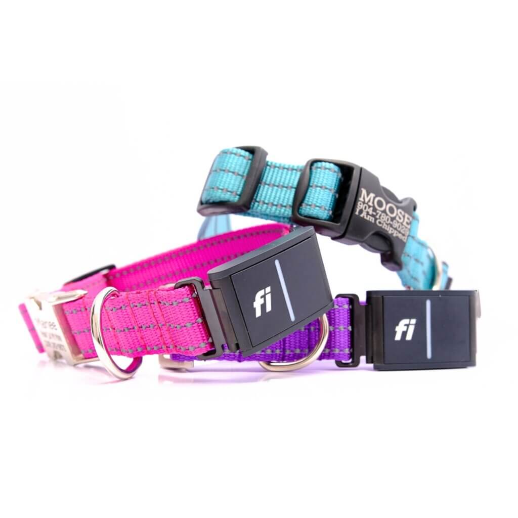 Fi reflective webbing collar stack with pink, teal and purple