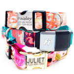 Lux Cotton Voile Fi Compatible Dog Collar with Optional Personalization