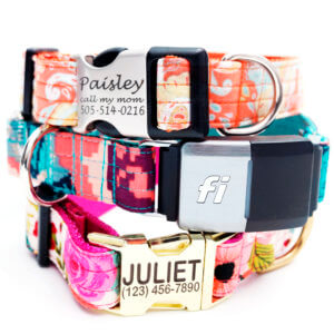 floral fi compatible dog collar