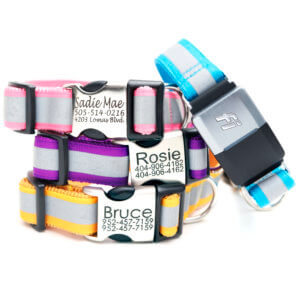 reflective fi dog collar