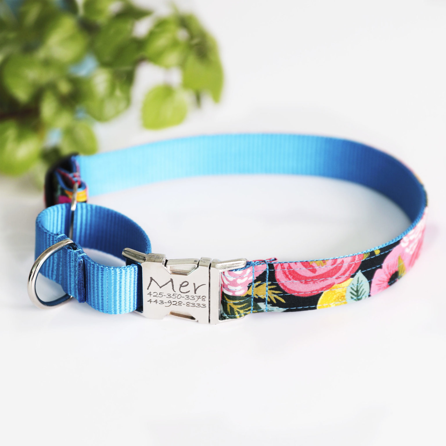 Martingale Dog Collars – Custom & Personalized Mimi Green