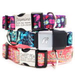 Laminated Cotton Fi Compatible Dog Collar with Optional Engraving