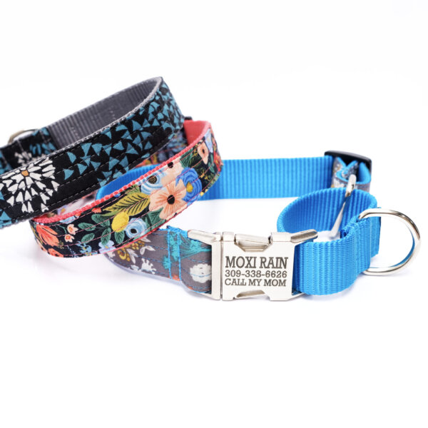martingale dog collars engraved voile