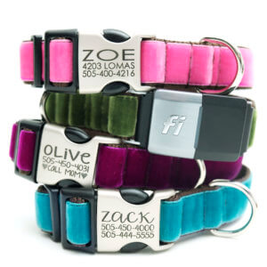 velvet Fi dog collar