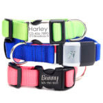 Fi Compatible Nylon Webbing Dog Collar - 27 colors and Optional Engraving