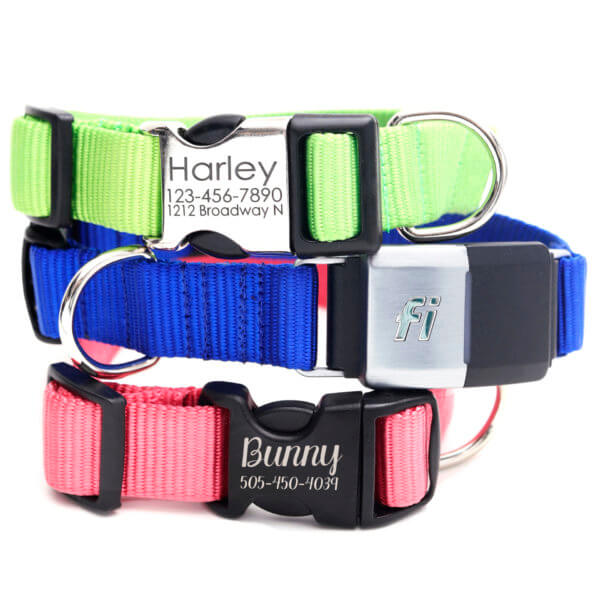 Personalized Nylon Martingale Chain Dog Collar - 22 Colors