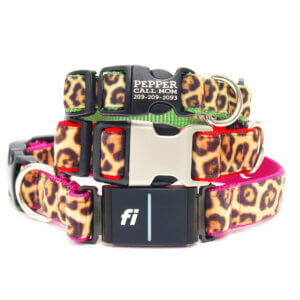 fi leopard velvet collars