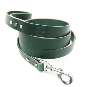 green leather leash