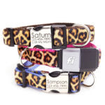 Fi Compatible Leopard Velvet Dog Collar *Optional Personalization