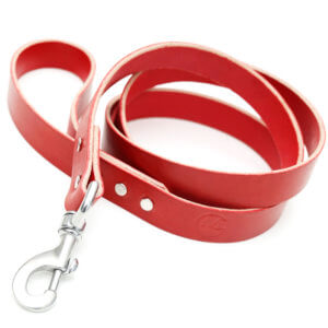 Leather Dog Leashes