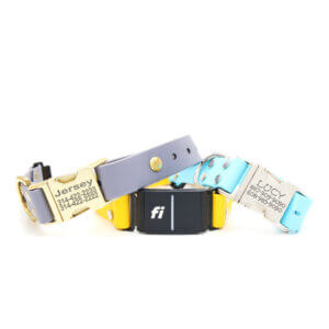 waterproof fi compatible side release collars