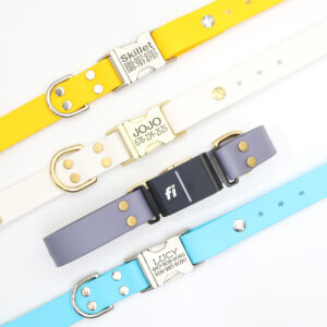 waterproof fi compatible side release collars