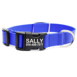 Cobalt engraved waterproof dog collar lightweight