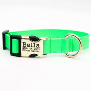 Green lightweight waterproof dog collar