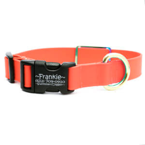 bright orange biothane collar lightweight engraved