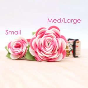 carnation dog collar flower sizes