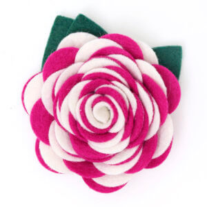 fuschia dog collar carnation flower