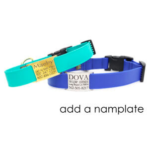 nameplate waterproof dog collar lightweight