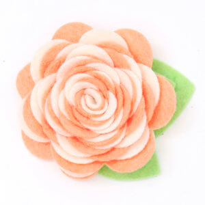 peach dog collar carnation flower