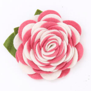 pink dog collar carnation flower