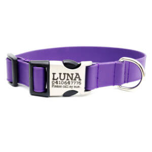 purple waterproof dog collar engraved