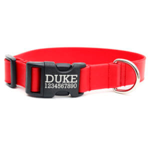 red engraved waterproof dog collar