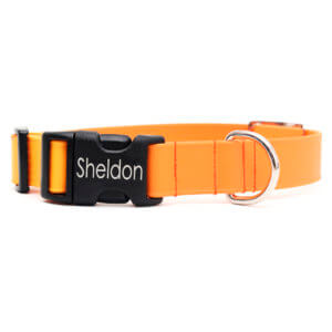 tangerine orange engraved waterproof dog collar