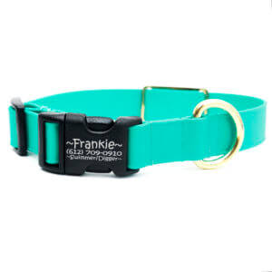 teal biothane collar lightweight engraved
