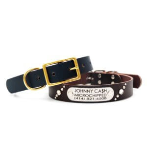 Leather studded name plate dog collar navy brown