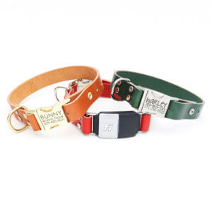 Leather Fi dog collar personalized