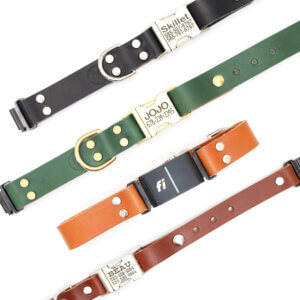 leather fi compatible side release collars Series 3/3+ Mimi Green Personalized