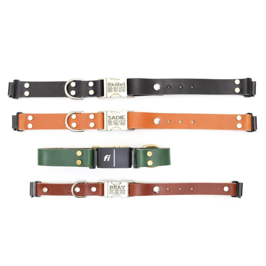 leather fi compatible side release collars Series 3/3+ Mimi Green Personalized