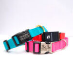 Fi Compatible Lightweight Biothane Waterproof Dog Collar with Engraved Buckle