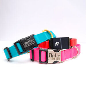 lightweight biothane fi 3 collar