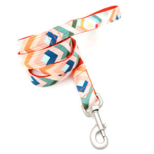 lolli canvas dog leash