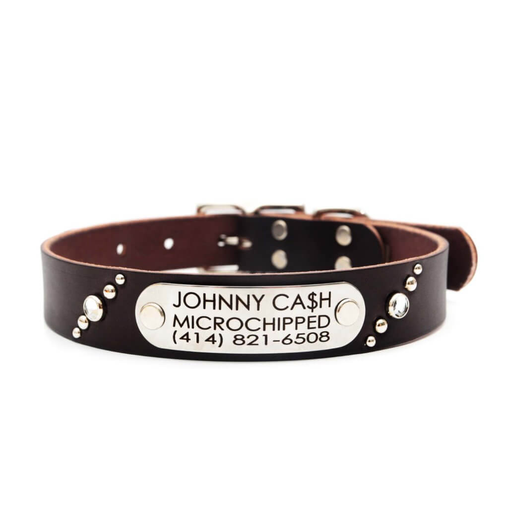 Leather Studded Dog Collar with Riveted Nameplate Comet