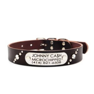 Leather studded name plate dog collar brown