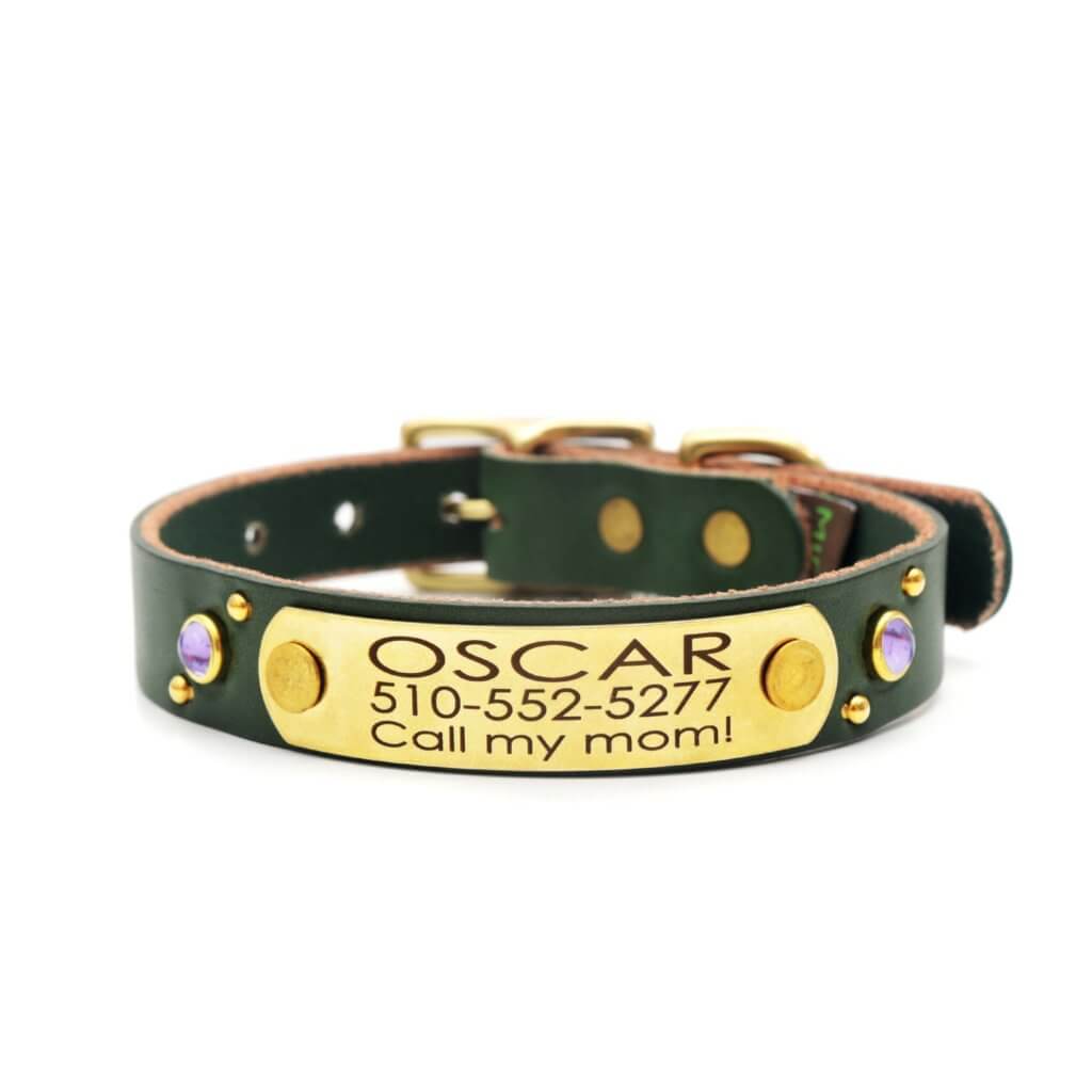 Leather Studded Dog Collar with Riveted Nameplate Comet