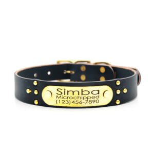 Leather studded name plate dog collar black