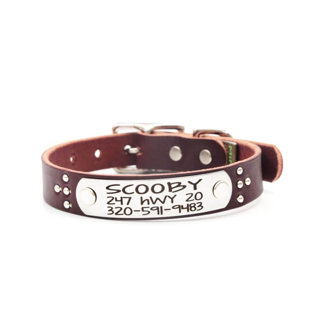 Studded Leather Dog Collar with Riveted Nameplate Ace